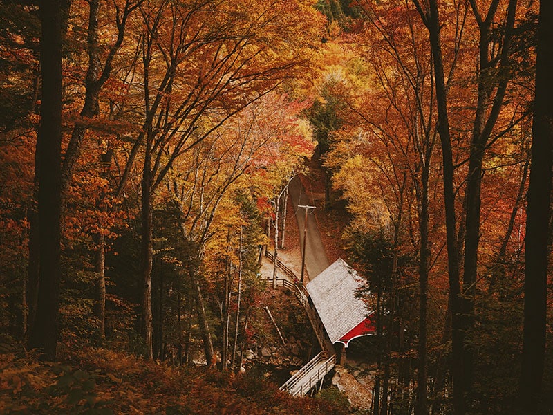 On a hill looking down at a covered bridge during fall foliage