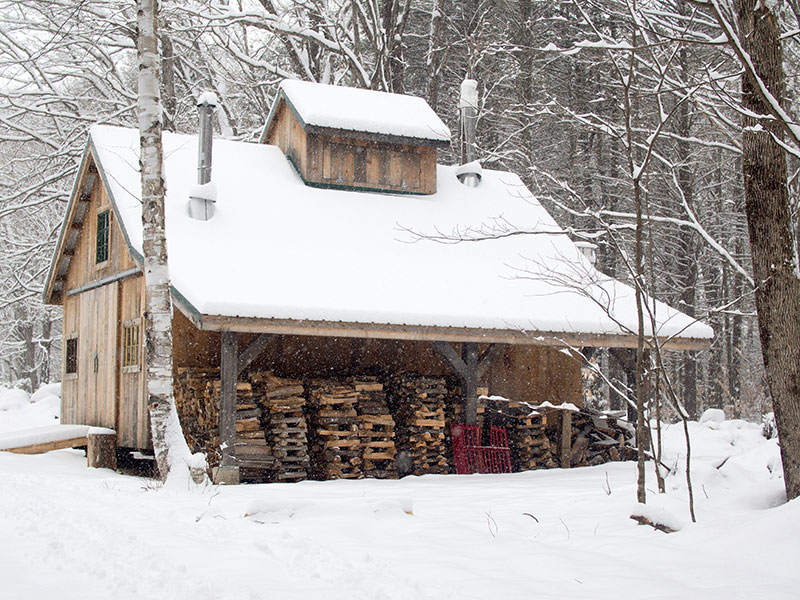 Maple sugar shack in the woods