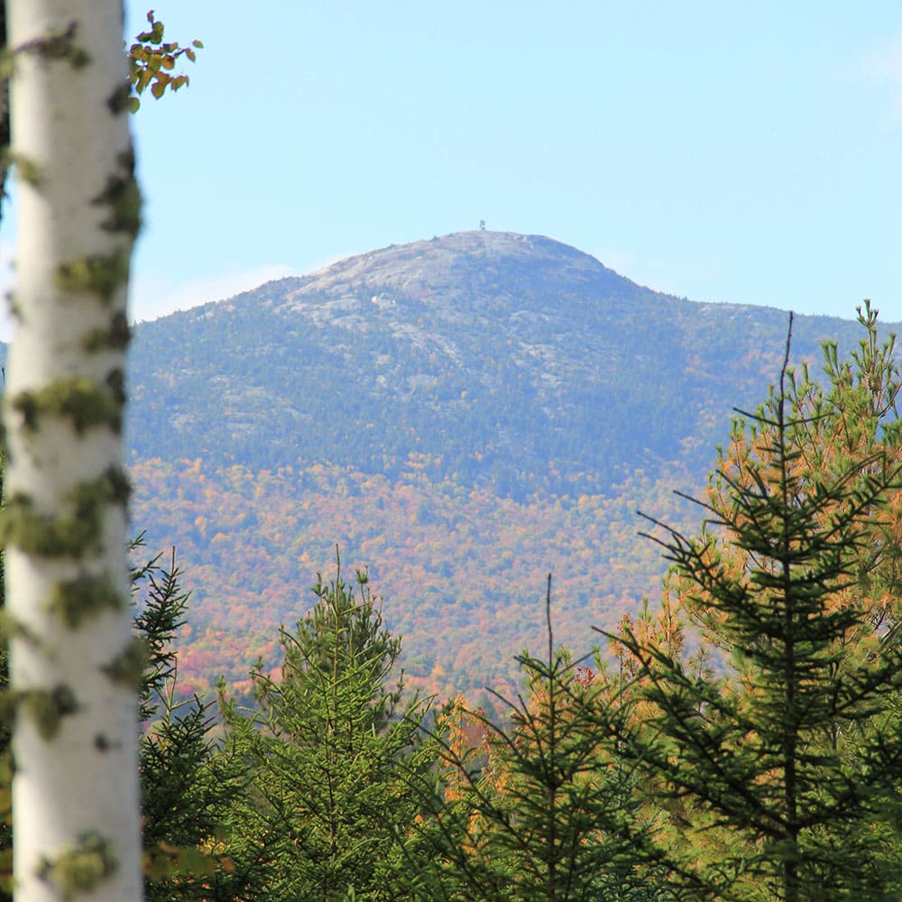 A view of Mt. Cardigan in the fall with the fire tower on top